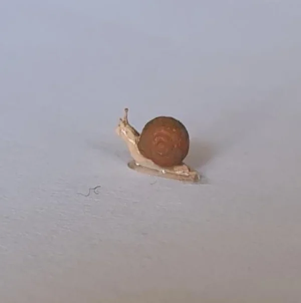 Dollhouse snail, 1/12 scale