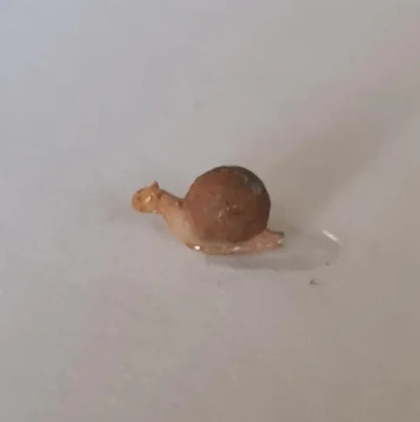 Dollhouse snail, 1/12 scale