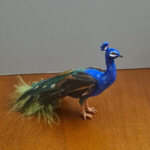 Miniature Peacock for Dollhouse, 1/12 scale - Imagen 6