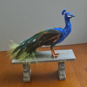 Miniature Peacock for Dollhouse, 1/12 scale - Imagen 5