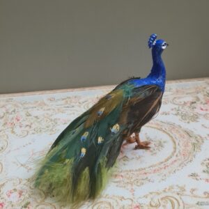 Miniature Peacock for Dollhouse, 1/12 scale - Imagen 3